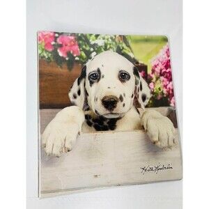BINDER Keith Kimberlin : Dalmation